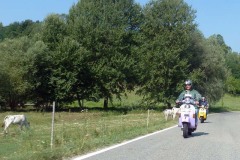 170723_8_Asti