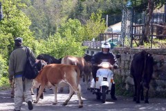 NextBORDIGHERA (IM) - 2^ Prova Trofeo Regolarità Vespa Nord - Ovest
