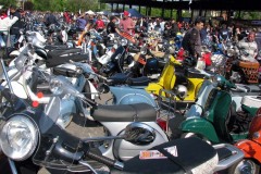 090503_4_Alba